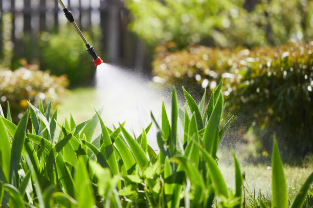 24/7 Emergency Ant Control experts in New Paris, IN