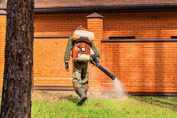 Trusted Ant Control service in New Paris, IN - Nex Pest Control